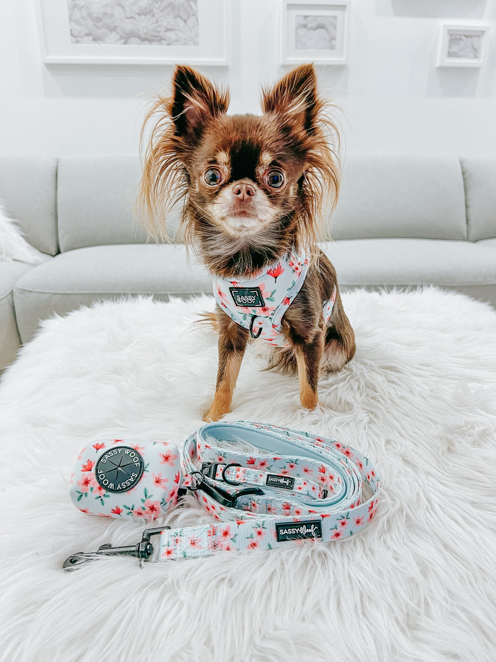 Dog Adjustable Harness - Sakura