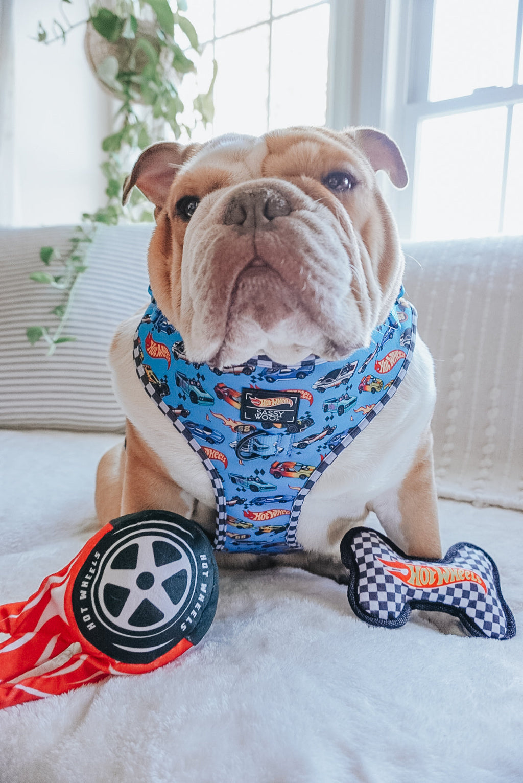 Dog Adjustable Harness - Hot Wheels™