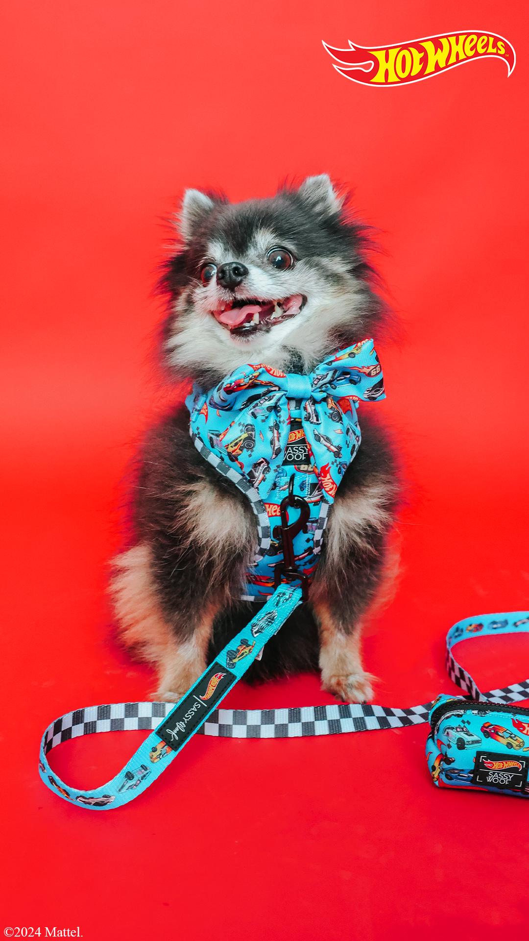 Dog Adjustable Harness - Hot Wheels™