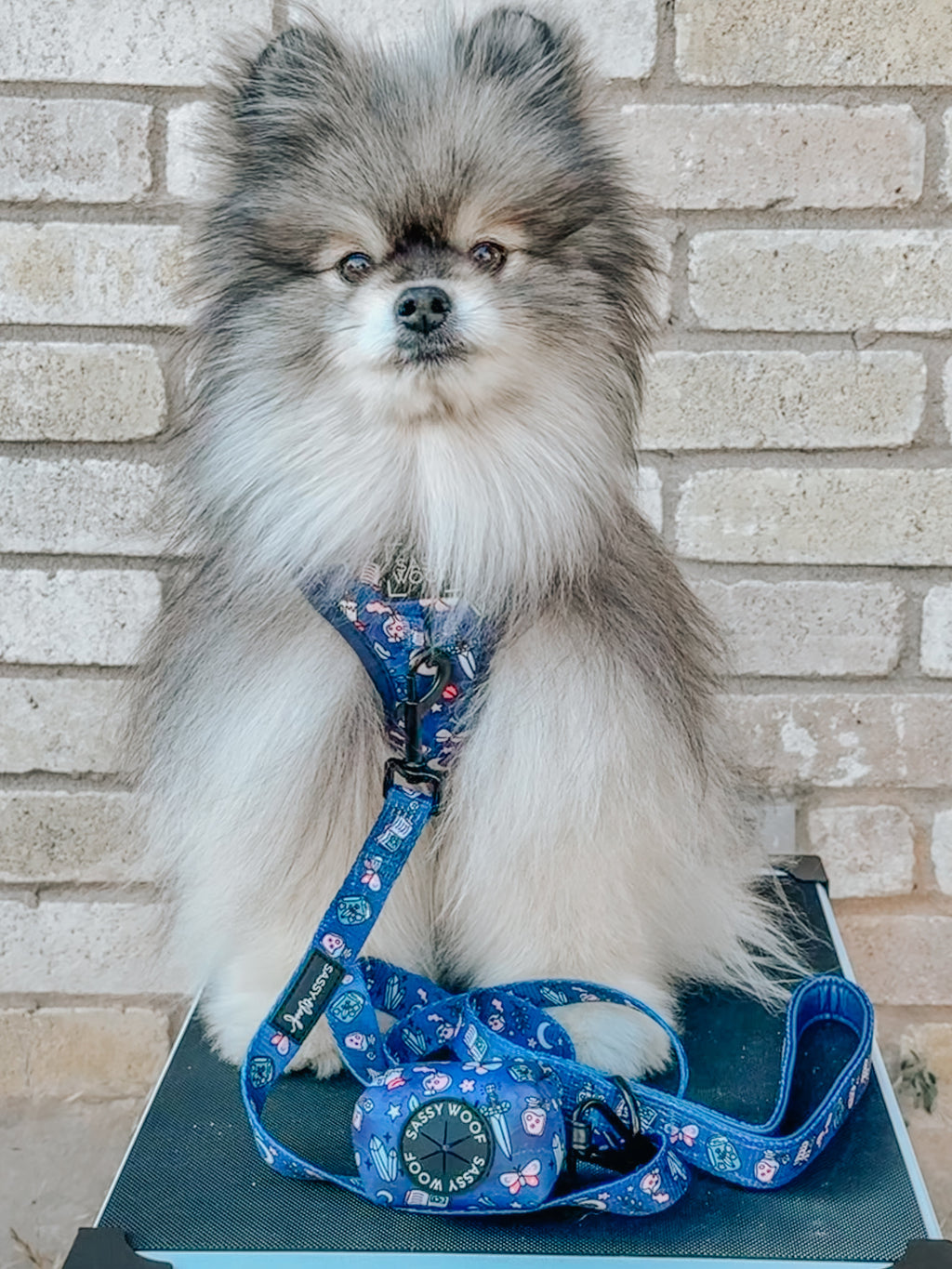 Dog Adjustable Harness - Spellbound