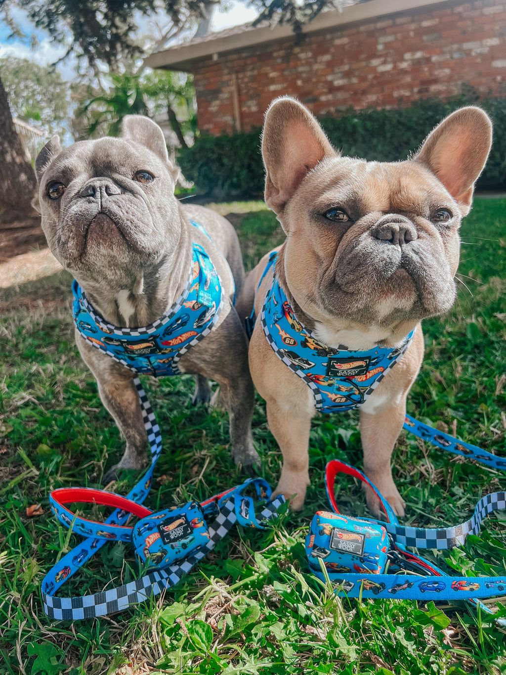 Dog Adjustable Harness - Hot Wheels™