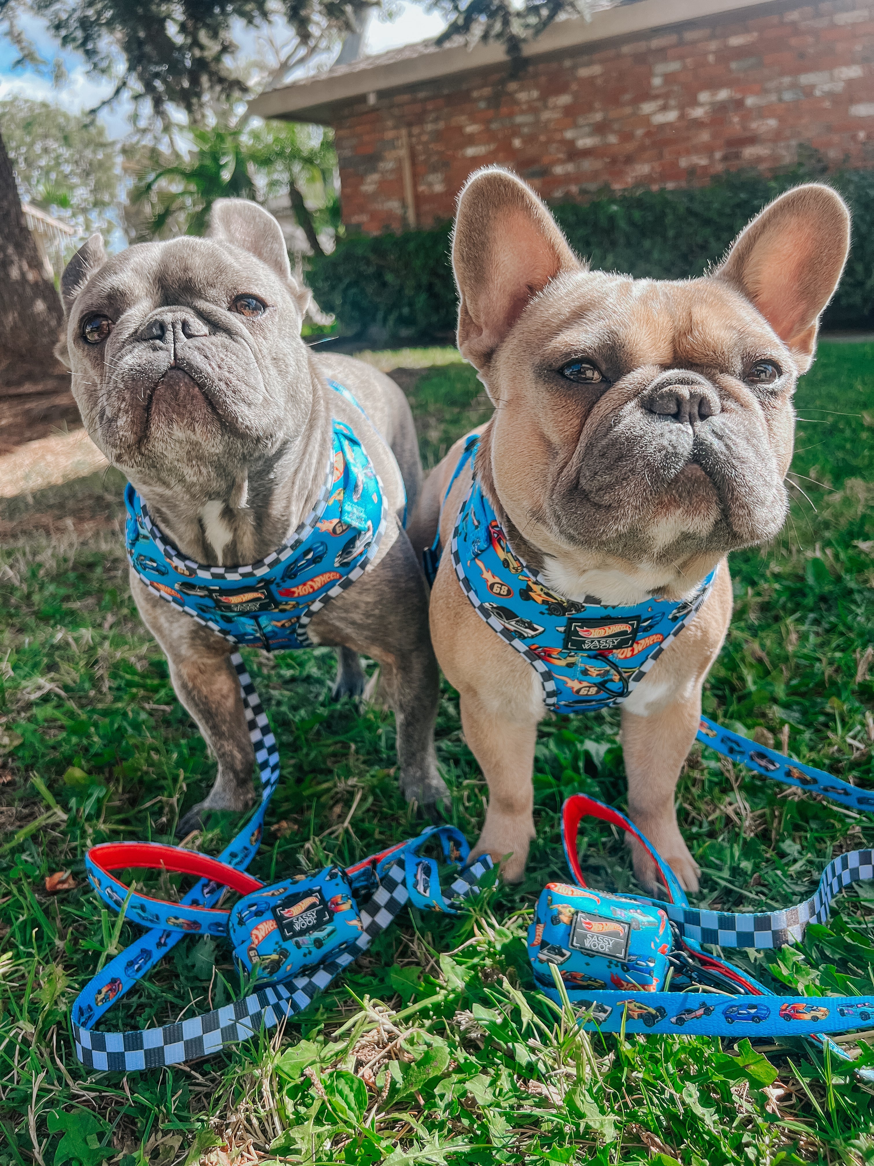 Dog Adjustable Harness - Hot Wheels™