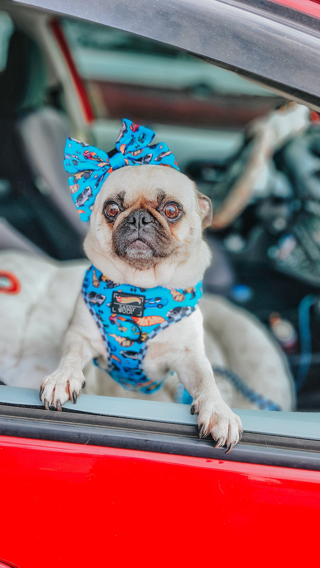 Dog Adjustable Harness - Hot Wheels™