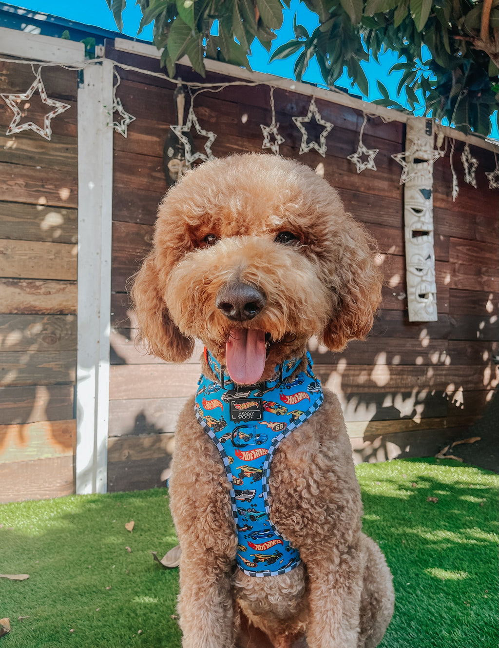 Dog Adjustable Harness - Hot Wheels™