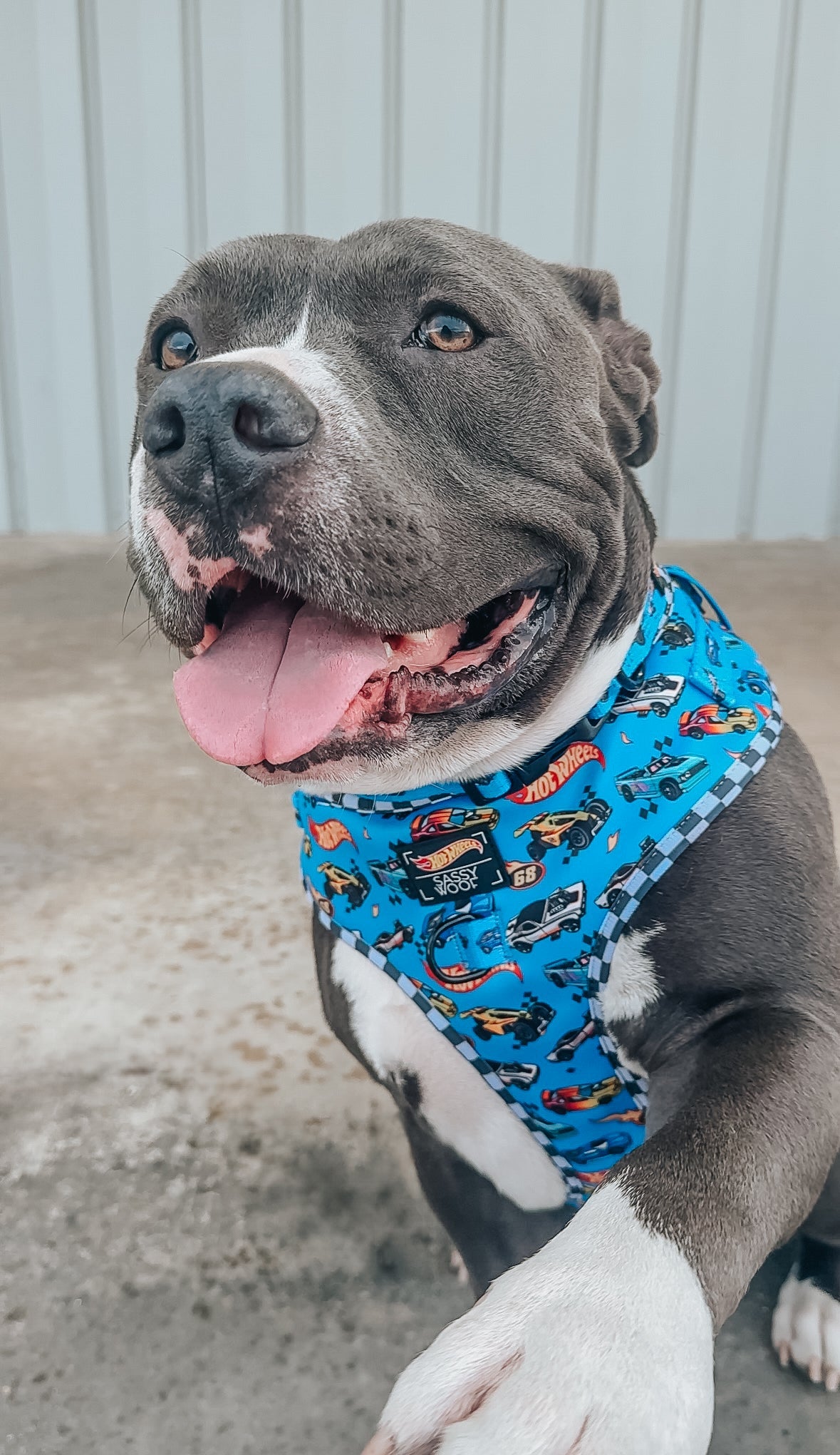 Dog Adjustable Harness - Hot Wheels™