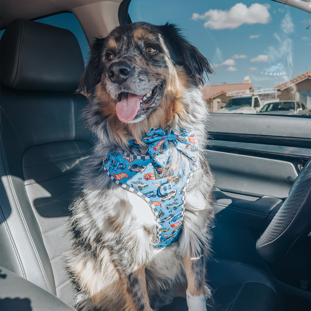 Dog Adjustable Harness - Hot Wheels™