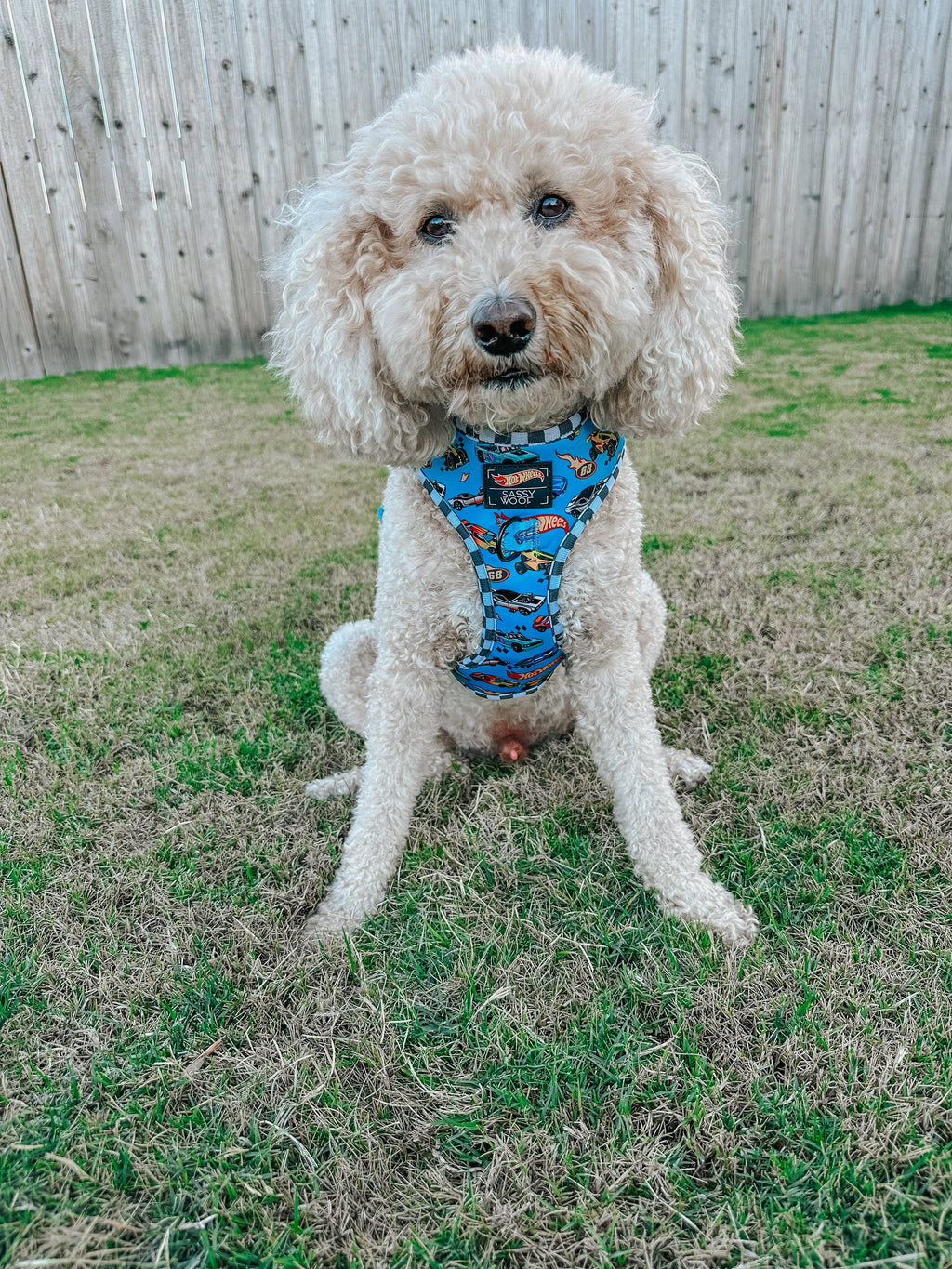 Dog Adjustable Harness - Hot Wheels™