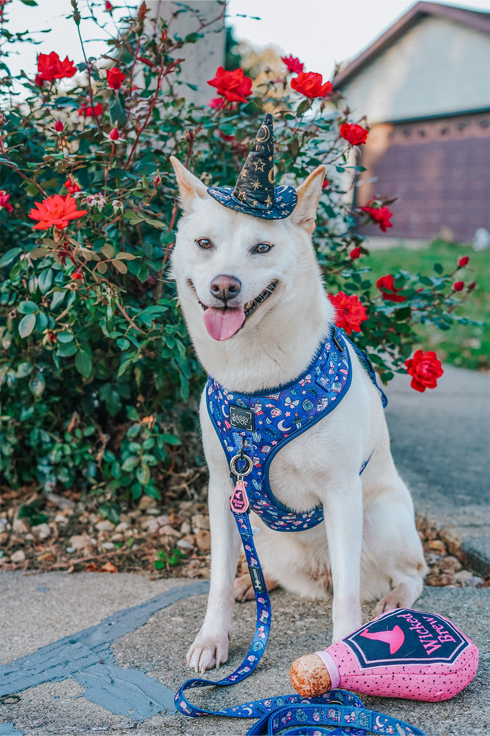Dog Adjustable Harness - Spellbound