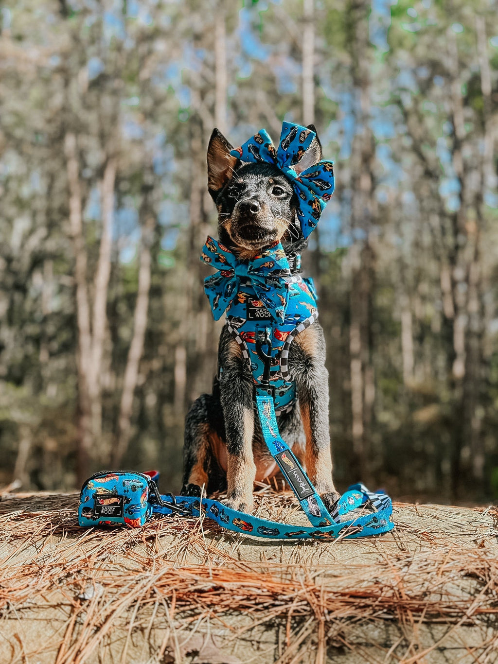 Dog Adjustable Harness - Hot Wheels™