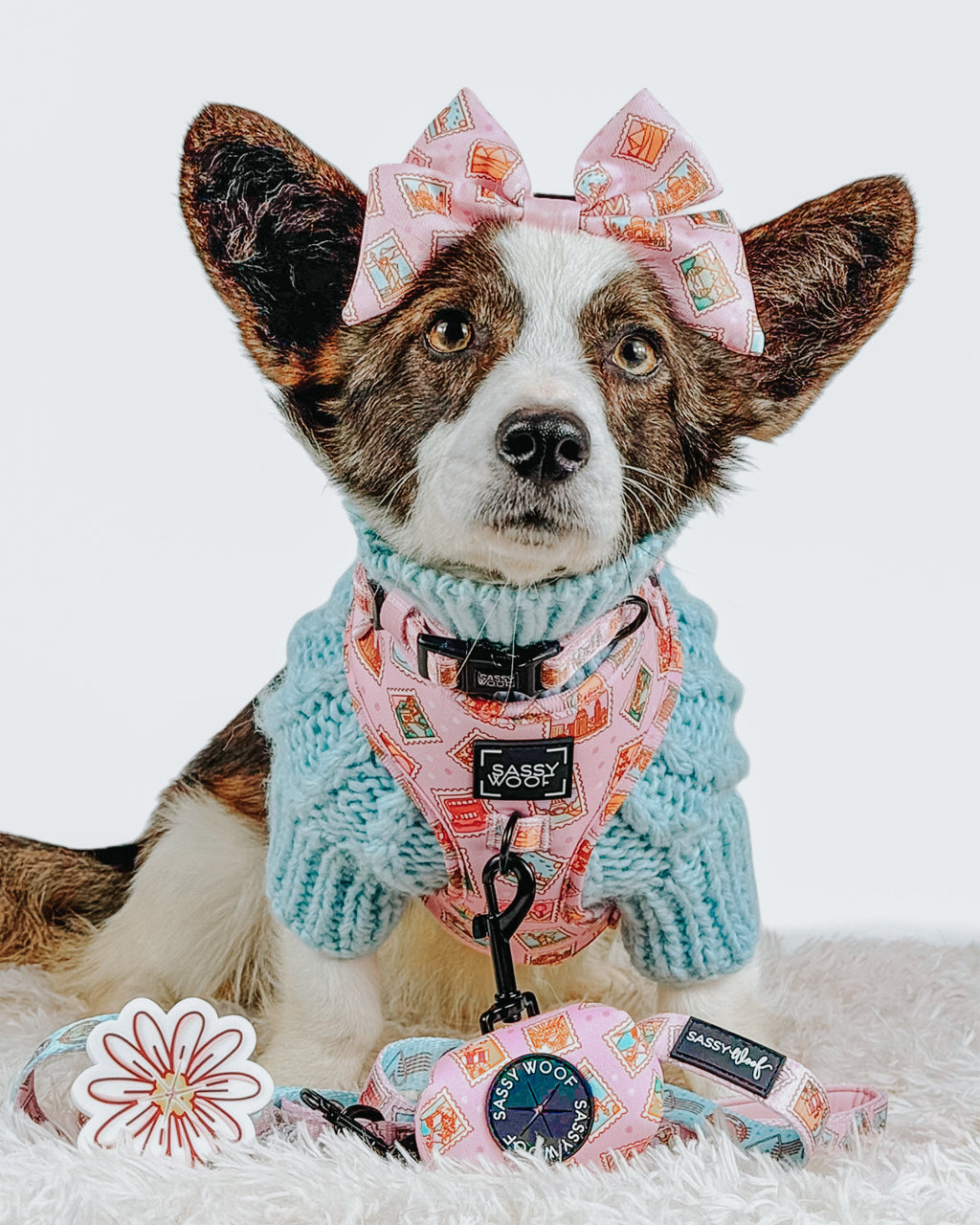 Dog Adjustable Harness - Out of Office