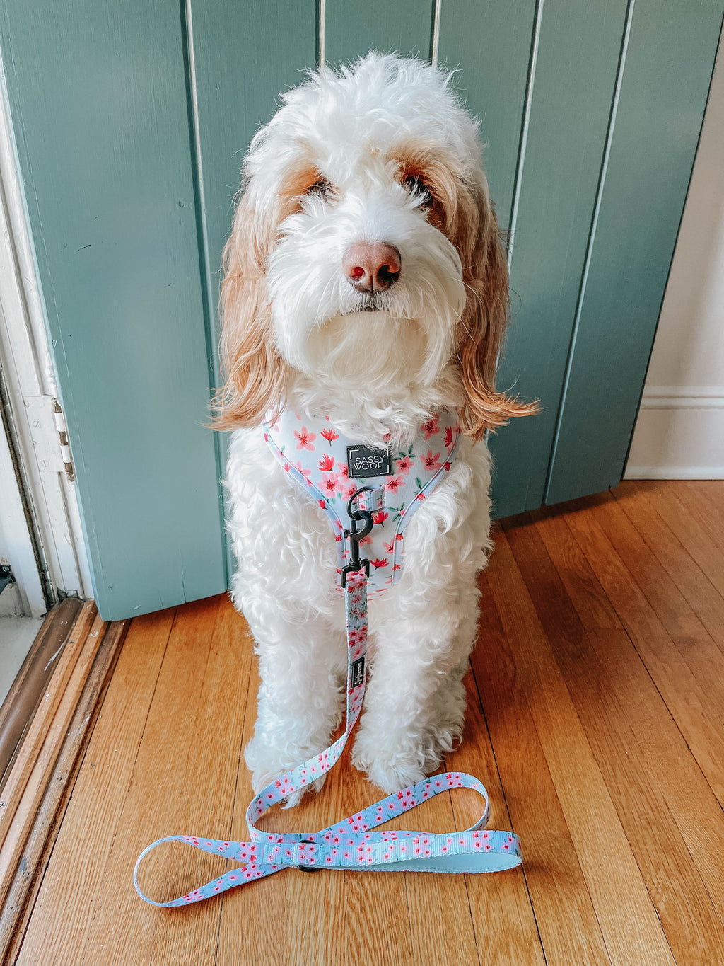 Dog Adjustable Harness - Sakura