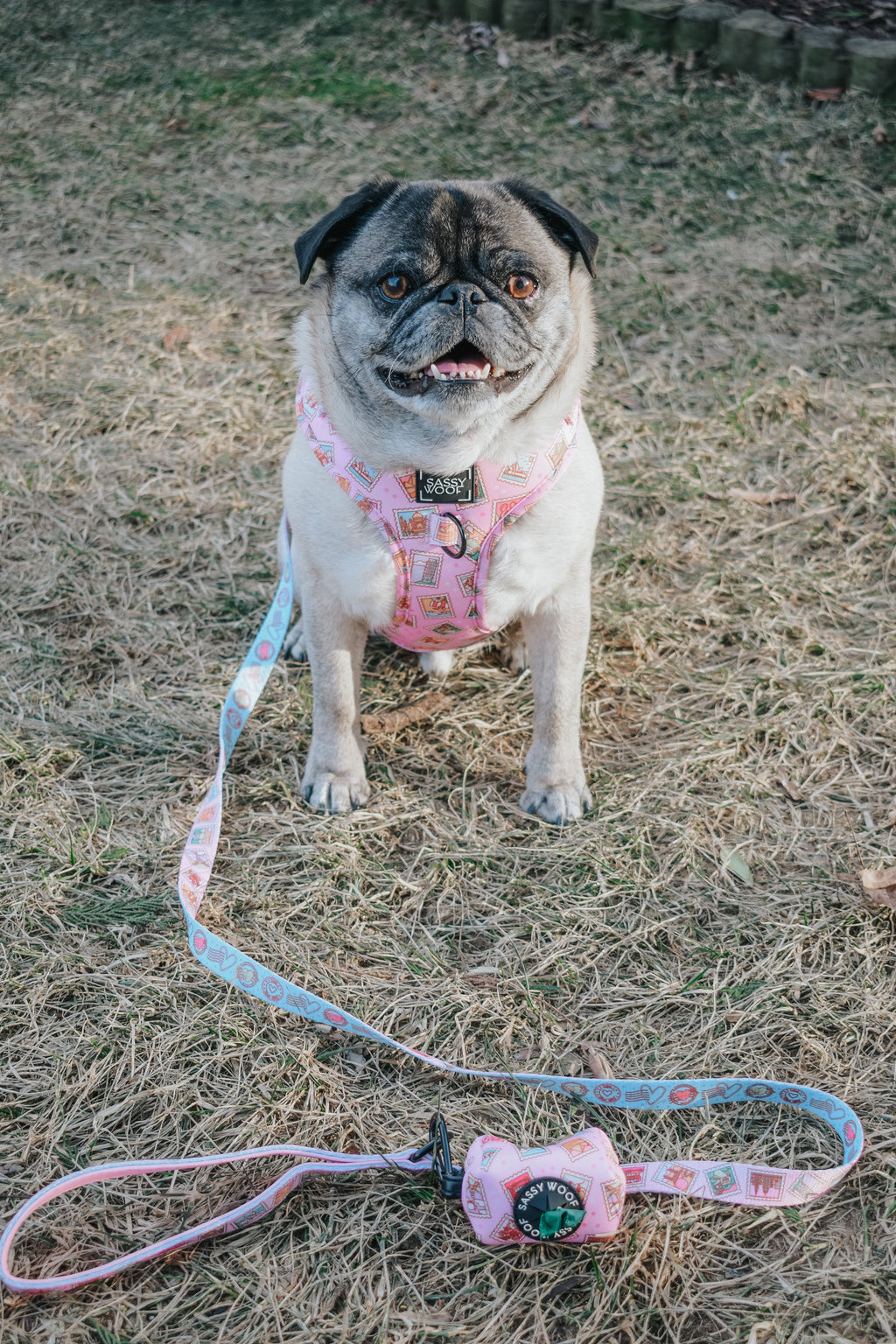 Dog Adjustable Harness - Out of Office